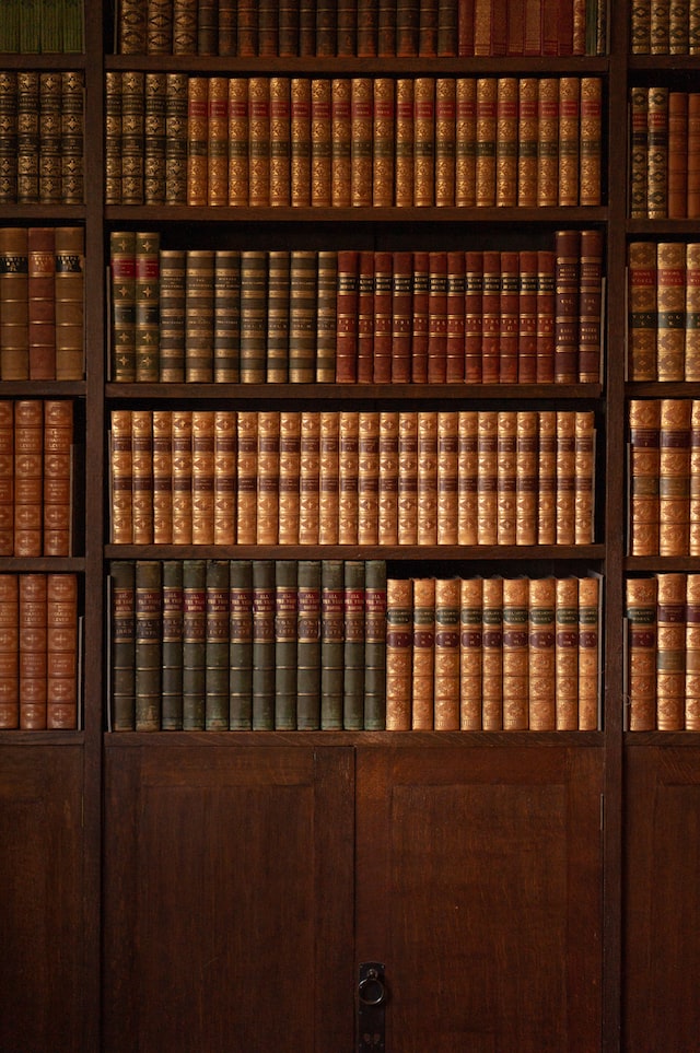 stand with the books